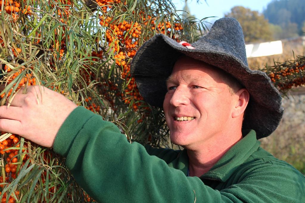Kräuterfex_Andreas Lehner_Bild