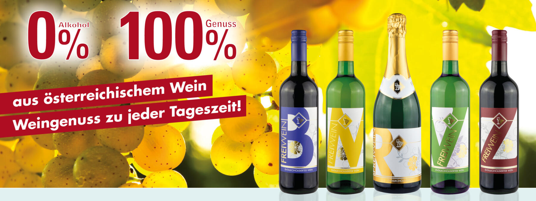 [Sonderangebot] Alkoholfreier Wein- & - & Produkte - Regionale Sektgenuss Bernhard Dienstleistungen Huber Regionalfux 