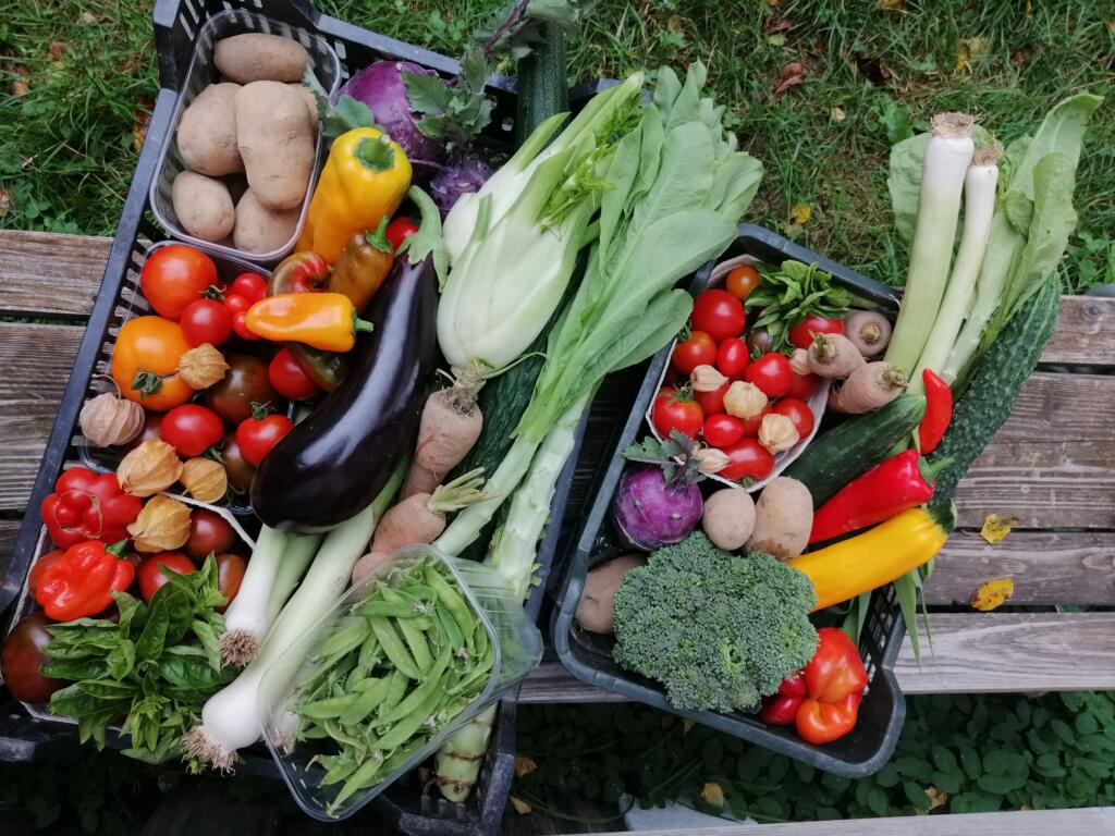 rechts großes, links kleines Gemüsekistl