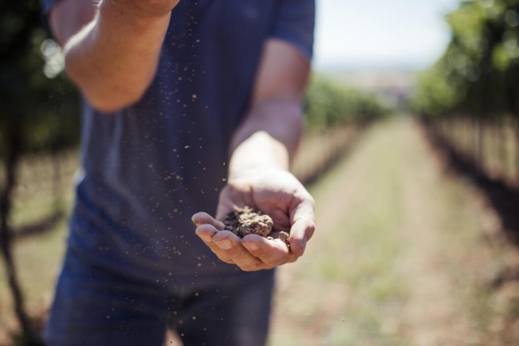 Wertvoller Lössboden als wichtige Basis. 