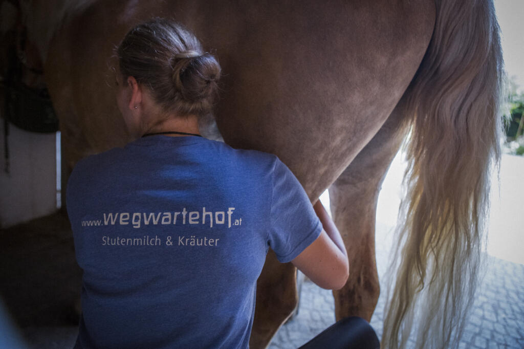 gemolken wird per Hand